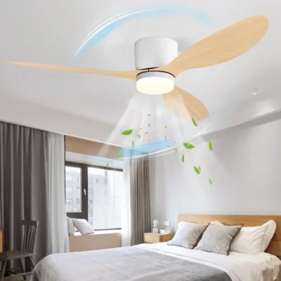 fan lights