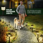 solar light
